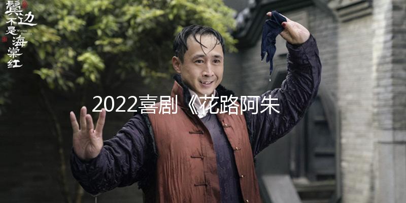 2022喜剧《花路阿朱妈》1080p.BD中字