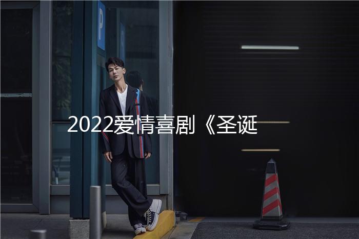 2022爱情喜剧《圣诞宅急便》1080p.BD中字
